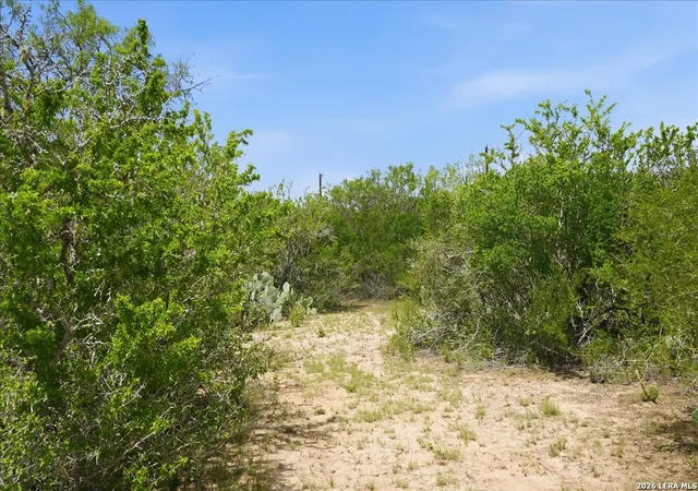 2nd image of 130 Choke Canyon Ests, Three Rivers, TX 78071 | MLS# 2002413
