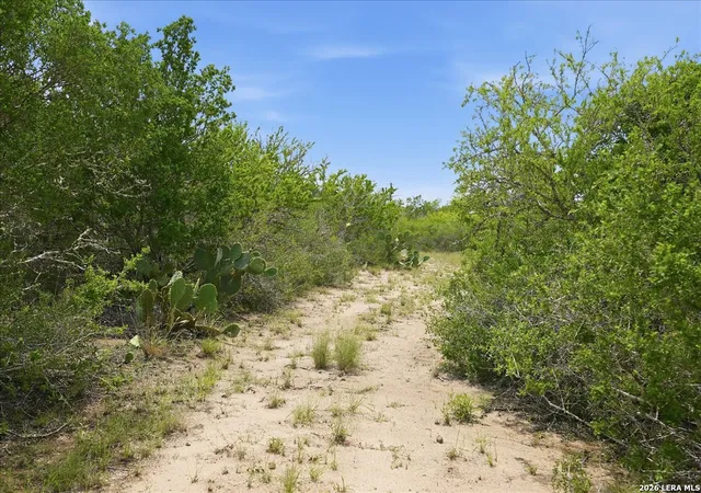 Photo 3 of Land for sale at 130 Choke Canyon Ests, Three Rivers, TX 78071 | MLS# 2002413 | Listing updated on 2026-08-02