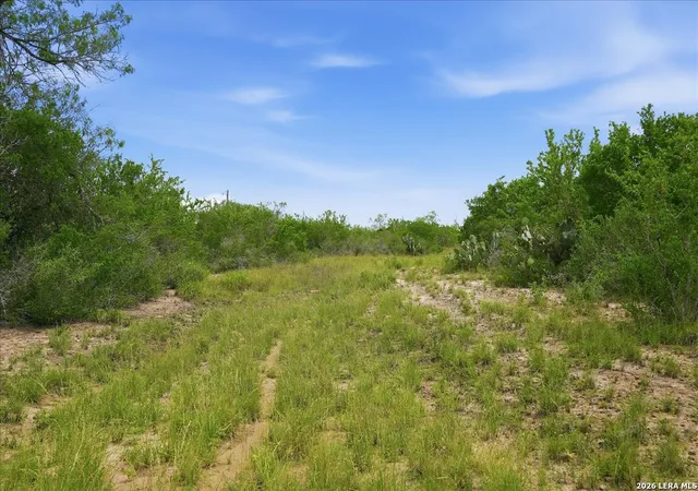 Photo 3 of Land for sale at 130 Choke Canyon Ests, Three Rivers, TX 78071 | MLS# 2002413 | Listing updated on 2026-08-02