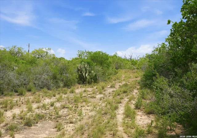 Photo 4 of Land for sale at 130 Choke Canyon Ests, Three Rivers, TX 78071 | MLS# 2002413 | Listing updated on 2026-08-02