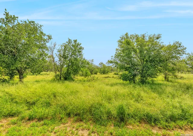 29th image of 8954 County Road 128, Floresville, TX 78114 | MLS# 2002425