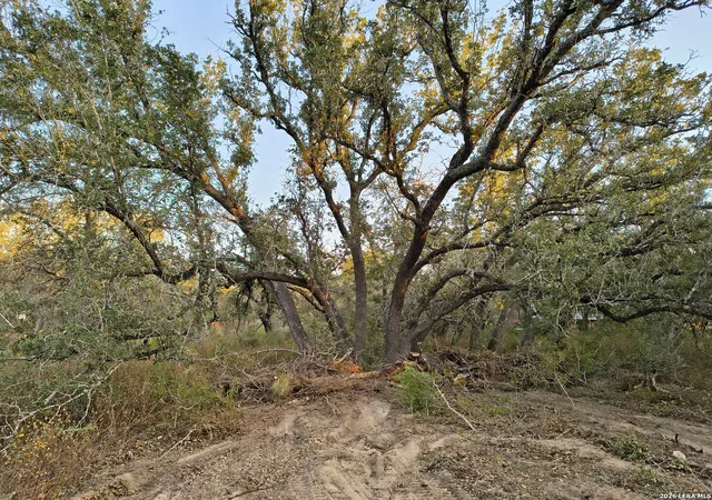 Photo 3 of Land for sale at 00 Priest Rd, Elmendorf, TX 78112 | MLS# 2002822 | Listing updated on 2026-08-22