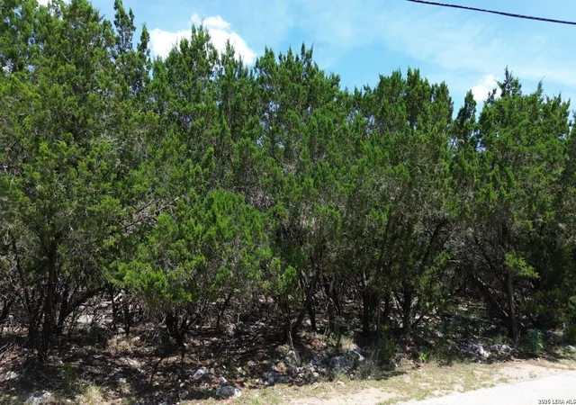 Photo 3 of Sale Pending at 1672 Winding Crk Trl, Spring Branch, TX 78070 | MLS# 2002908 | Listing updated on 2026-08-13