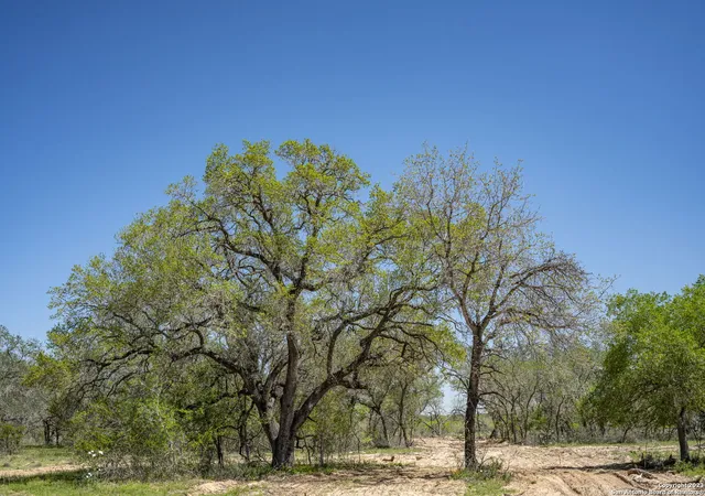 3rd image of 2703 County Road 770, Natalia, TX 78059 | MLS# 2002928