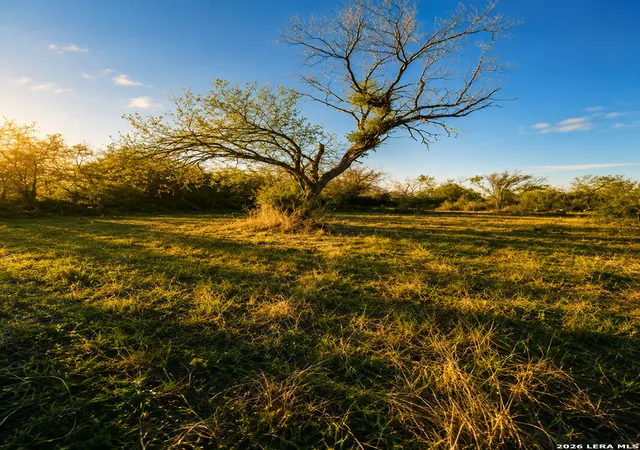 Photo 1 of Land for sale at 2519 Hicks, San Antonio, TX 78210 | MLS# 2003035 | Listing updated on 2026-08-04