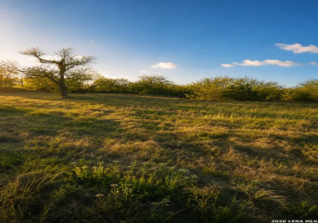 Photo 3 of Land for sale at 2519 Hicks, San Antonio, TX 78210 | MLS# 2003035 | Listing updated on 2026-08-04