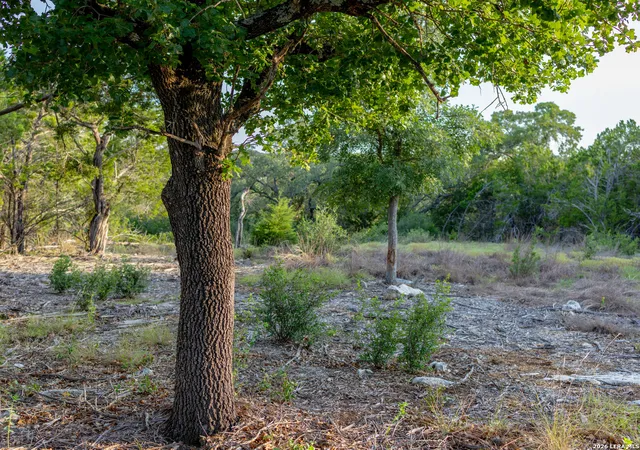 Photo 4 of Land for sale at Lot 12 Monterey Trail, Boerne, TX 78006 | MLS# 2003070 | Listing updated on 2026-08-04