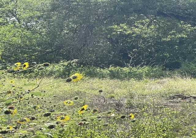 Photo 2 of Land for sale at 12830 Uhr, San Antonio, TX 78217 | MLS# 2003328 | Listing updated on 2026-09-03