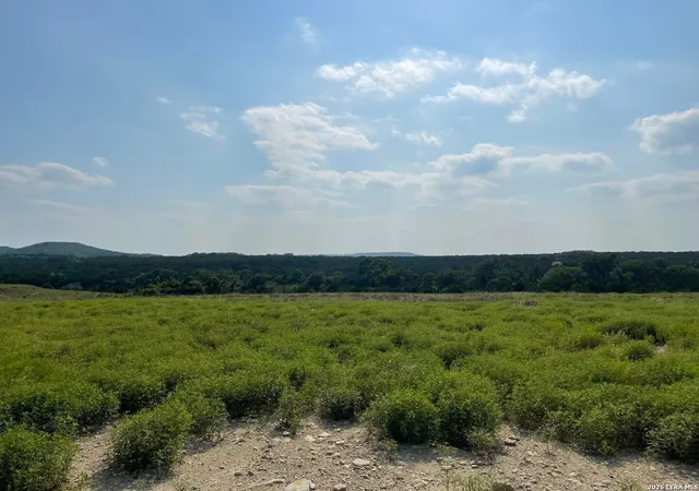 3rd image of 1165 Holden Loop, Copperas Cove, TX 76522 | MLS# 2003336