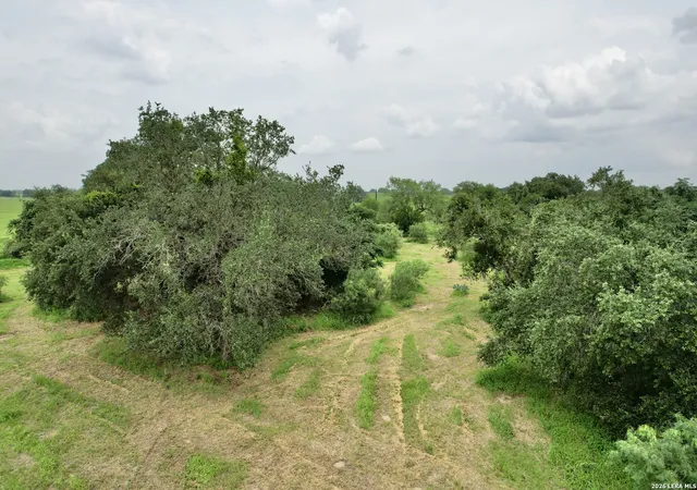 5th image of 1873 Bronder Rd, Pleasanton, TX 78064 | MLS# 2003437