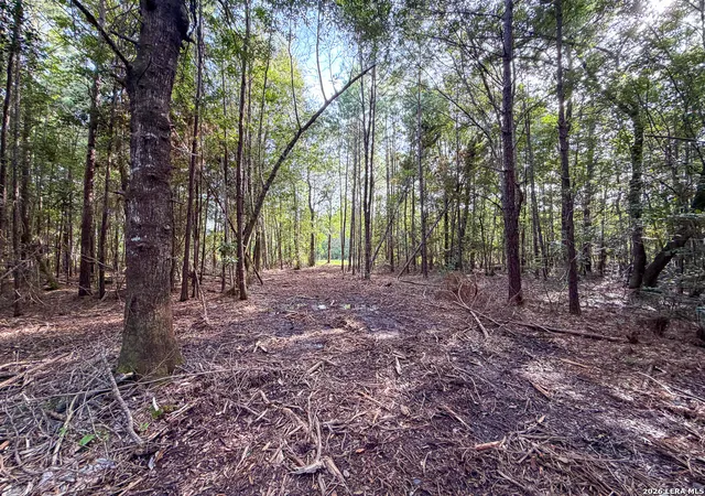 Photo 3 of Land for sale at 03 Fm 787, Saratoga, TX 77585 | MLS# 2003448 | Listing updated on 2026-08-07