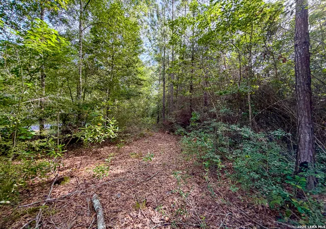 Photo 3 of Land for sale at 08 Fm 787, Saratoga, TX 77585 | MLS# 2003471 | Listing updated on 2026-08-07
