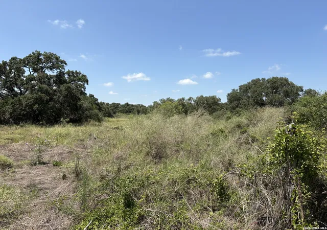 Photo 4 of Land for sale at Tbd Cr 311 County Road 311, D Hanis, TX 78850 | MLS# 2003564 | Listing updated on 2026-08-07