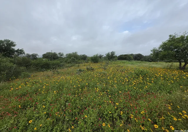 Photo 3 of Land for sale at 30 Wild Bee Dr, Von Ormy, TX 78073 | MLS# 2003860 | Listing updated on 2026-08-19