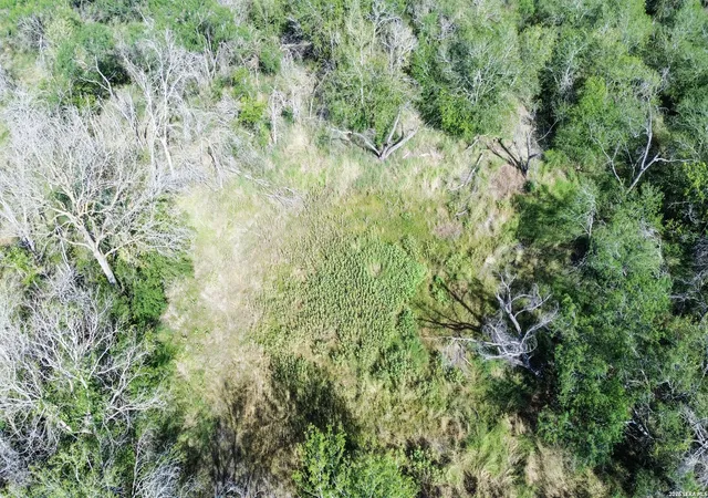 3rd image of 980 Mann Rd 02, Poteet, TX 78065 | MLS# 2003868