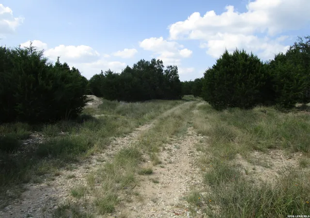 12th image of 3246 Hawthorne, Spring Branch, TX 78070 | MLS# 2004270