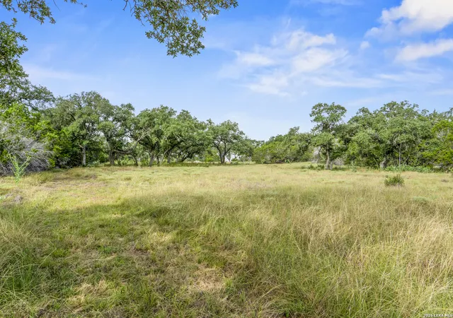 1st image of 358 Serenity Pass, Spring Branch, TX 78070 | MLS# 2004314