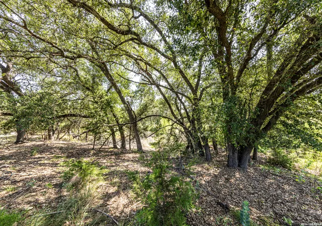 Photo 3 of Land for sale at 2610 River Way, Spring Branch, TX 78070 | MLS# 2004472 | Listing updated on 2026-08-10