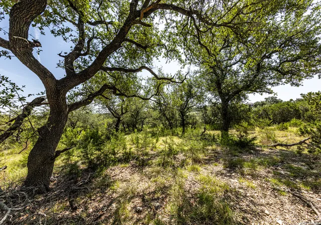 Photo 3 of Land for sale at 2610 River Way, Spring Branch, TX 78070 | MLS# 2004472 | Listing updated on 2026-08-10