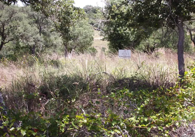 1st image of Tbd E Twisted Oak Trail, Blanco, TX 78606 | MLS# 2005112