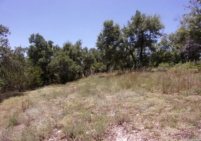 12th image of Tbd E Twisted Oak Trail, Blanco, TX 78606 | MLS# 2005112