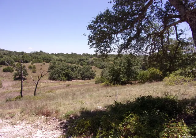 2nd image of Tbd E Twisted Oak Trail, Blanco, TX 78606 | MLS# 2005112