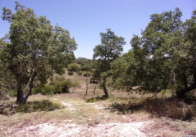 3rd image of Tbd E Twisted Oak Trail, Blanco, TX 78606 | MLS# 2005112