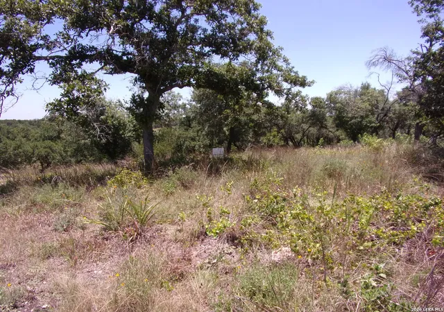 4th image of Tbd E Twisted Oak Trail, Blanco, TX 78606 | MLS# 2005112