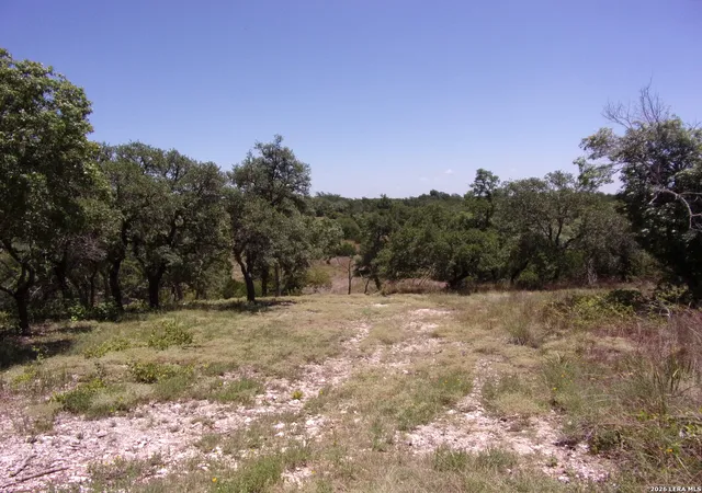 5th image of Tbd E Twisted Oak Trail, Blanco, TX 78606 | MLS# 2005112
