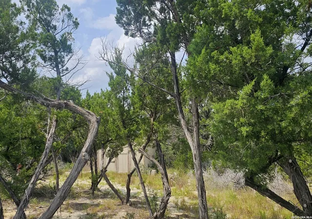 Photo 2 of Land for sale at 9,10 Elmhurst Dr, Lakehills, TX 78063 | MLS# 2005169 | Listing updated on 2026-10-08