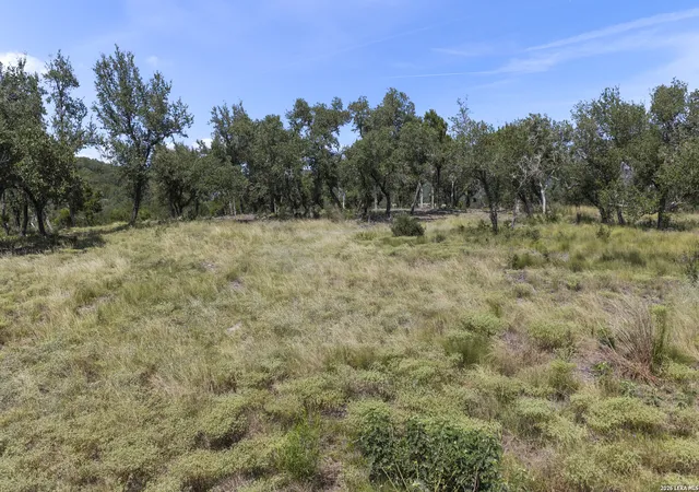 2nd image of 322 Mitchell Dr, Spring Branch, TX 78070 | MLS# 2005296