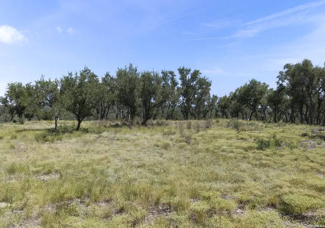 3rd image of 322 Mitchell Dr, Spring Branch, TX 78070 | MLS# 2005296