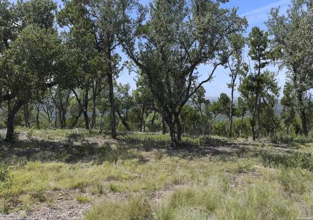 5th image of 322 Mitchell Dr, Spring Branch, TX 78070 | MLS# 2005296