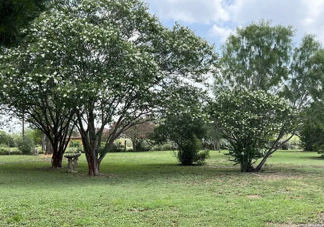 4th image of 444 County Road 4770, Castroville, TX 78009 | MLS# 2005344