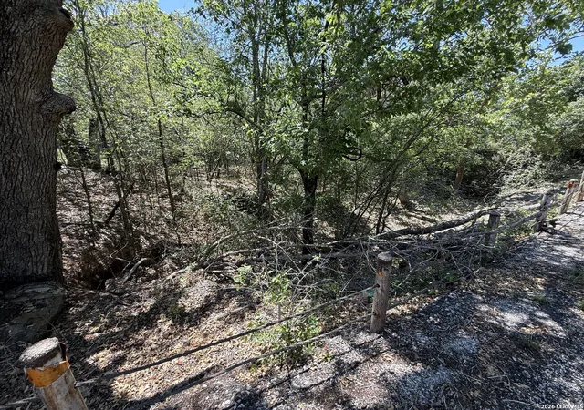 5th image of 1505 Nash Creek Rd, Kingsbury, TX 78638 | MLS# 2005372