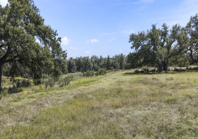 5th image of 227 Mitchell Dr, Spring Branch, TX 78070 | MLS# 2005465