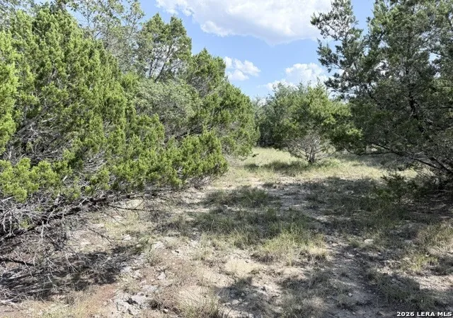 29th image of 4045 Fire Candle, Spring Branch, TX 78070 | MLS# 2005472