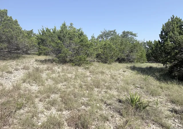 24th image of 4053 Fire Candle, Spring Branch, TX 78070 | MLS# 2005493