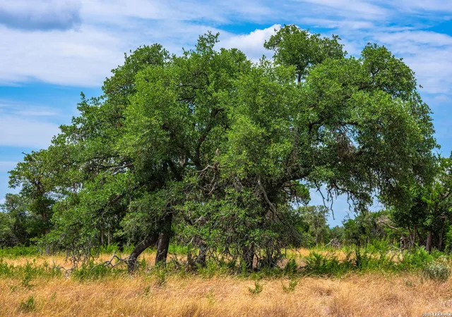 2nd image of 1468 Vanguard Ridge Rd, Kerrville, TX 78028 | MLS# 2005556