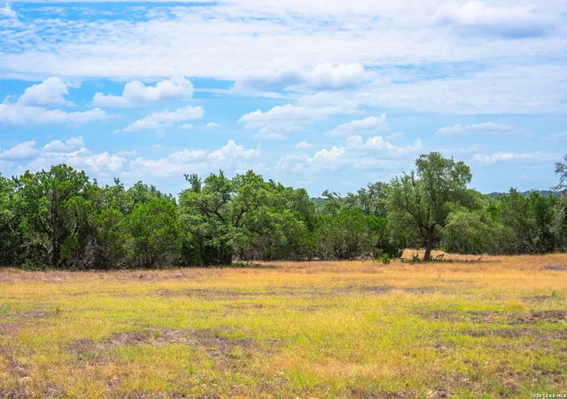 3rd image of 1468 Vanguard Ridge Rd, Kerrville, TX 78028 | MLS# 2005556
