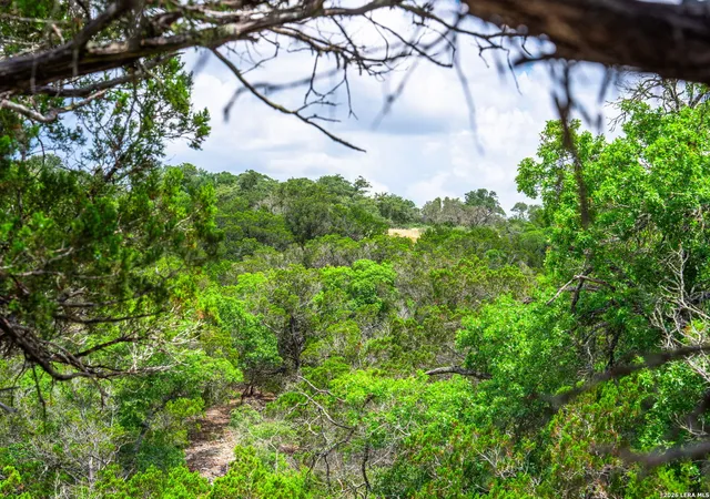 4th image of 1468 Vanguard Ridge Rd, Kerrville, TX 78028 | MLS# 2005556