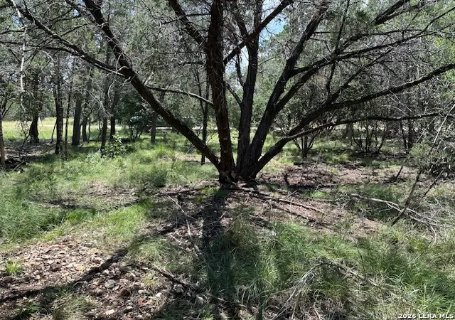 3rd image of 533 Squirrel Bnd, Uvalde, TX 78801 | MLS# 2005583