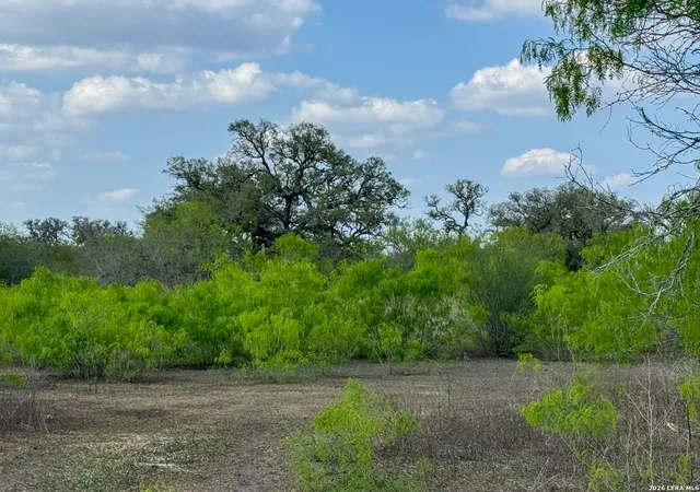 3rd image of 8251 County Road 106, Beeville, TX 78102 | MLS# 2005598