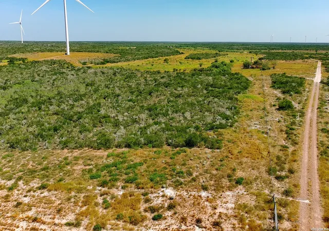 Photo 3 of Land for sale at Tract5 (479Ac) San Pablo Rd, Bruni, TX 78344 | MLS# 2005624 | Listing updated on 2026-08-15