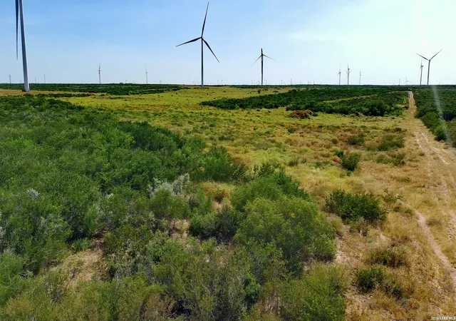 Land for sale at Tract 6 (80Ac) San Pablo Dr, BRUNI, TX 78344 | MLS# 2005627