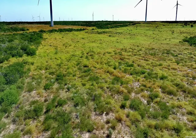 Photo 3 of Land for sale at Tract 6 (80ac) San Pablo Dr, Bruni, TX 78344 | MLS# 2005627 | Listing updated on 2026-08-15