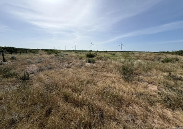 Photo 3 of Land for sale at Tract 6 (80Ac) San Pablo Dr, Bruni, TX 78344 | MLS# 2005627 | Listing updated on 2026-08-15