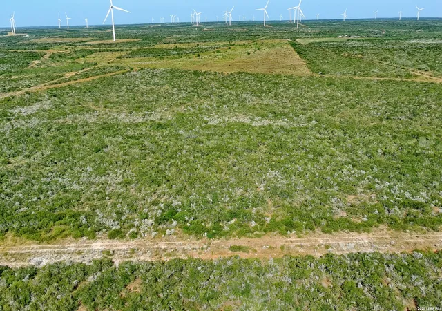 Photo 3 of Land for sale at Tract 7 (50Ac) San Pablo Rd, Bruni, TX 78344 | MLS# 2005642 | Listing updated on 2026-08-15