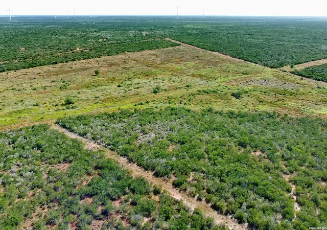 Land for sale at Tract 8 (47.77) San Pablo Rd, BRUNI, TX 78344 | MLS# 2005644