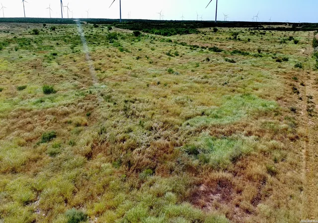 Photo 4 of Land for sale at Tract 9 (431) San Pablo Rd, Bruni, TX 78344 | MLS# 2005652 | Listing updated on 2026-08-15